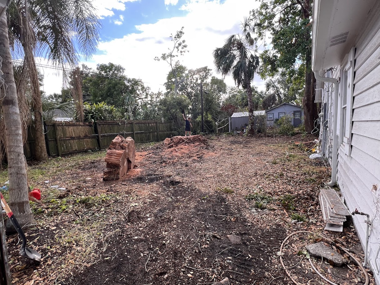 Backyard before — cleared lot with tree stumps